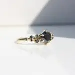 Round Cosmos Ring, diamond ring, engagement ring, diamond engagement ring, round diamond, black diamond, platinum ring, gold ring, danielle camera jewellery, Melanie Casey, Snowdrift ring